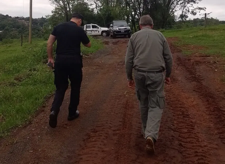 Alerta por un Presunto Yaguareté en Puerto Rico: La Policía Rastrilló la Zona y No Encontró Rastros